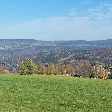 Apartment Bergidyll *