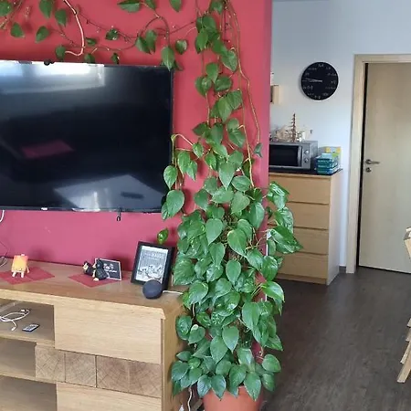 Bergidyll Apartment